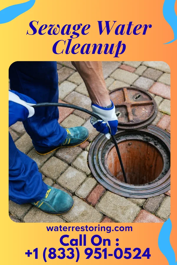 Sewage Water Cleanup in Newburg, MO