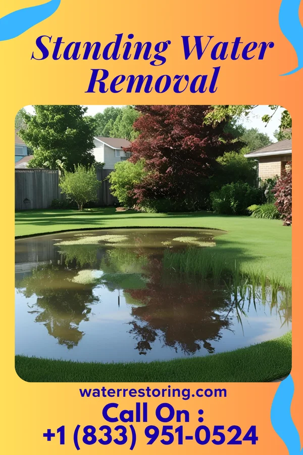 Standing Water Removal in Newburg, MO